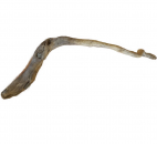 80cm lange Wurzel mit Steineinschluß